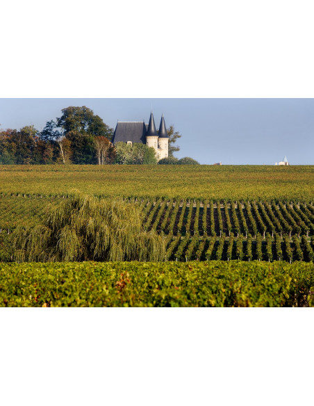 Parcourez la route des vins du Bordelais