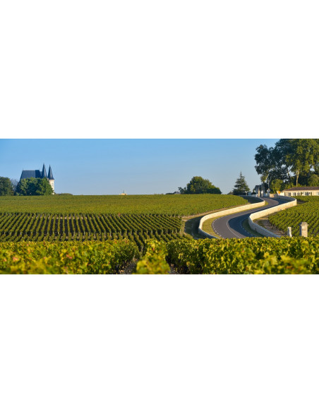 La route des vins du Médoc et ses prestigieux Grands Crus