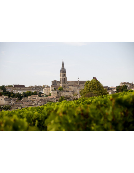 Le village de Saint-Emilion vu depuis les vignes