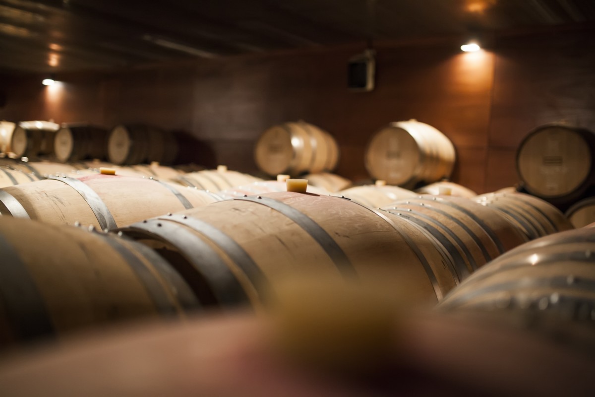 Gros plan sur cave avec barriques bordelaises et lumière tamisée