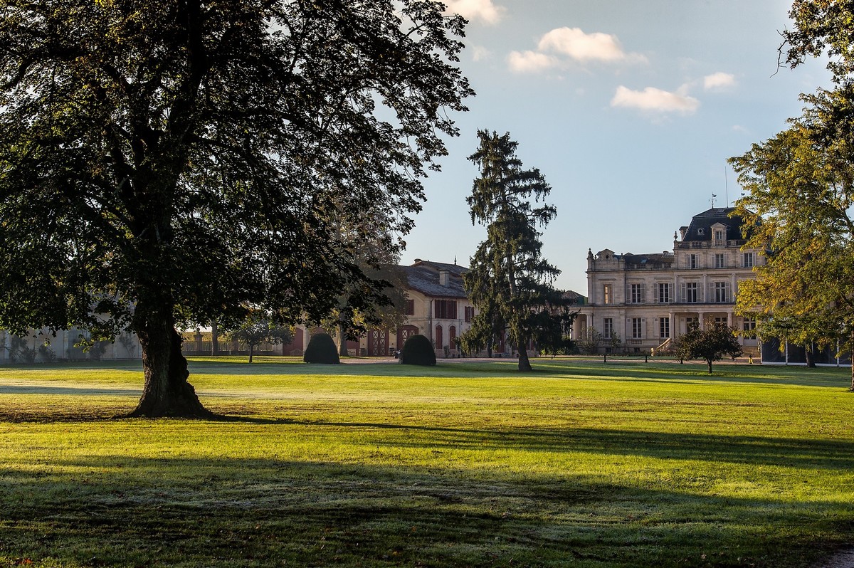 Château et parc avec immense arbre 