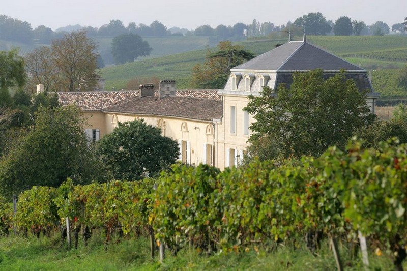 Château viticole niché vignoble