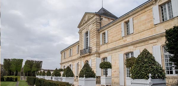 Façade de château en gros plan, arbustes en pot sur la terrasse