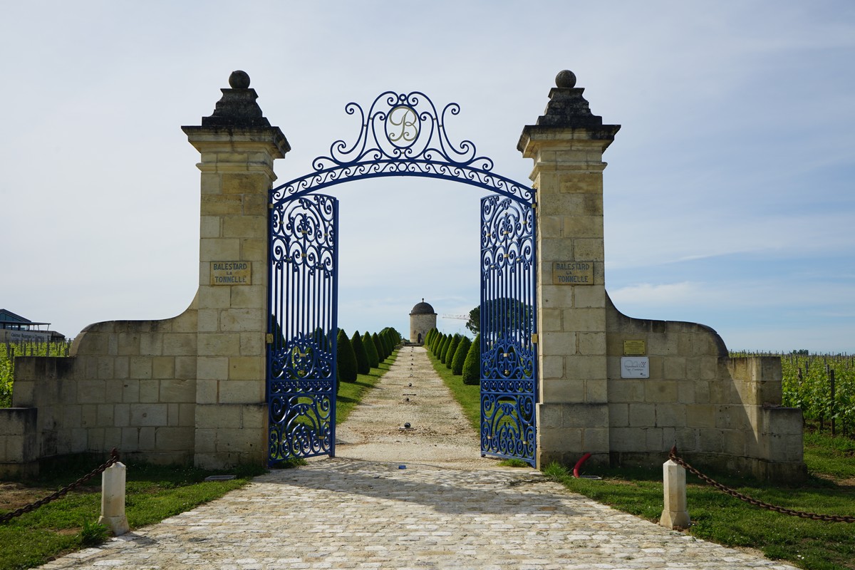 Immense portail bleu ouvert sur allée vignoble autour