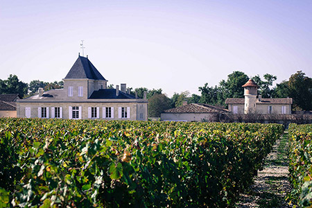 Vignoble au premier plan et château en arrière plan