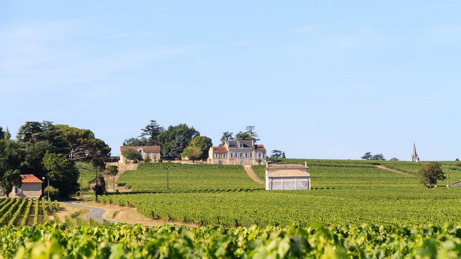 Vignoble à perte de vue et domaine viticole au fond