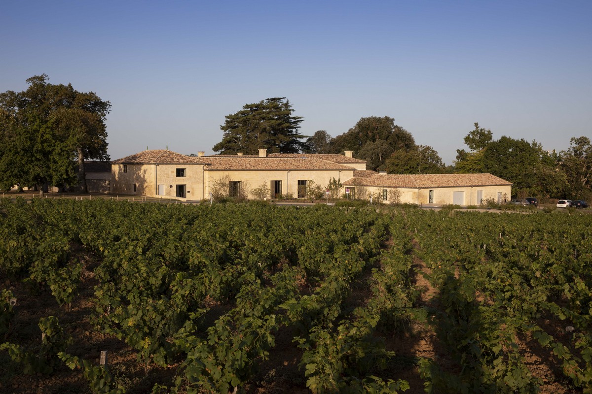 Vignoble et domaine viticole en arrière plan