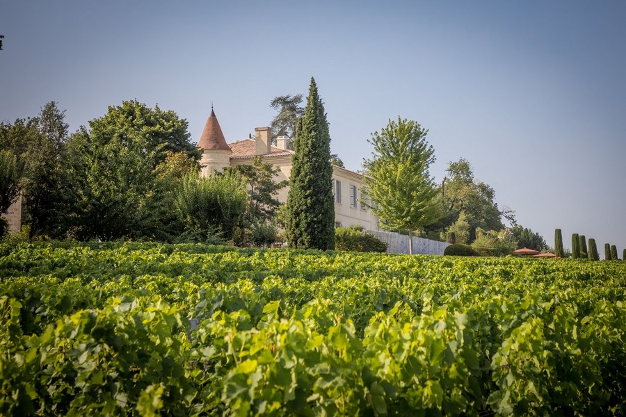 Vignes et beau Château viticole niché dans le vignoble