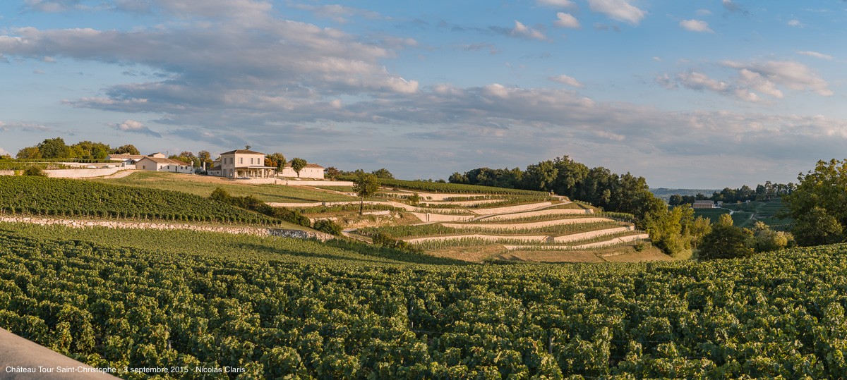 Vignoble en pente, en terrasse et domaine viticole derrière