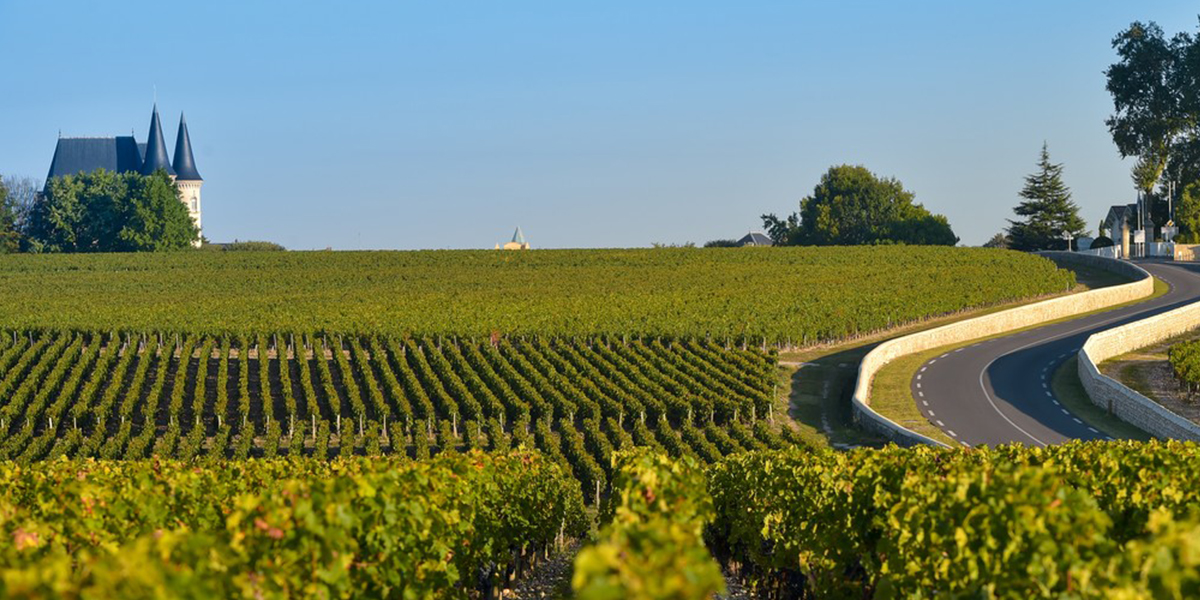 Vignoble et route des vins
