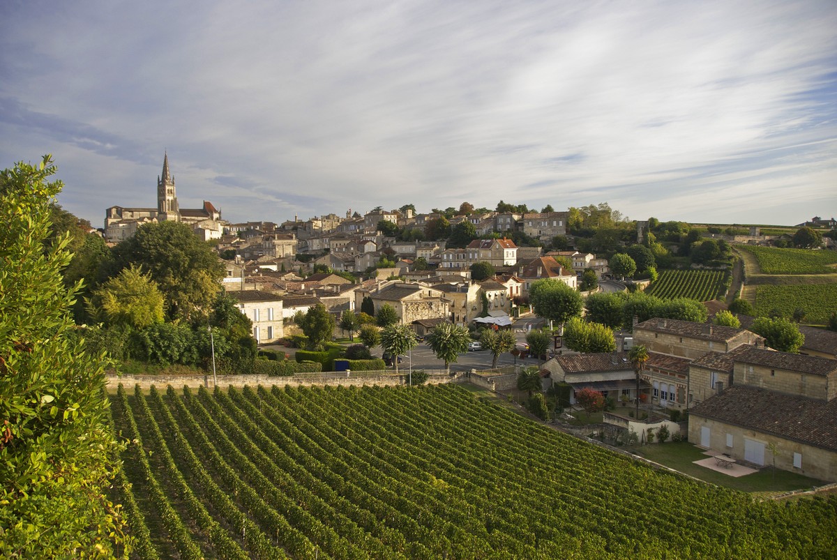 Vignoble et village médiéval Saint-Emilion derrière