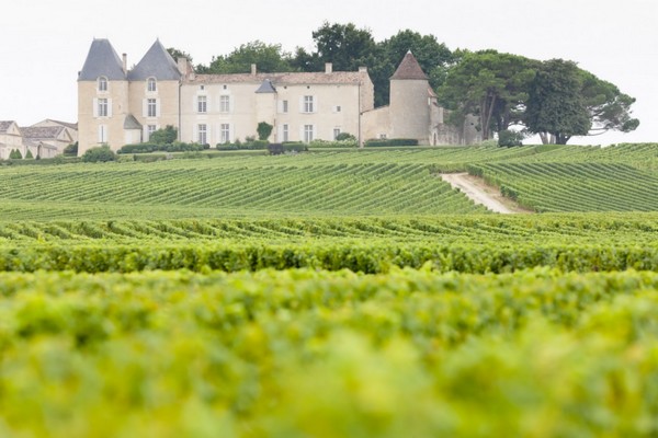 Vignoble à perte de vue et domaine viticole en fond